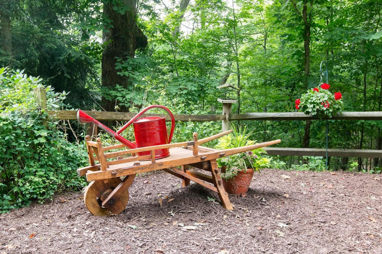 Lazy Bear Lodge Valle Crucis 외부 사진